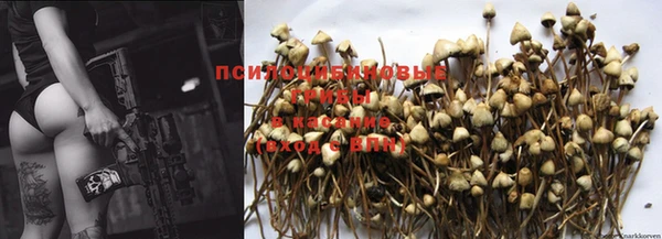 spice Абдулино